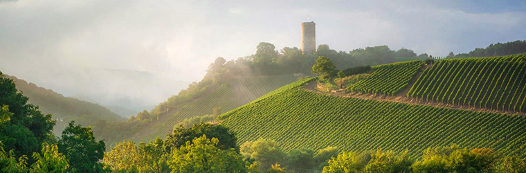 Weingut Robert Weil