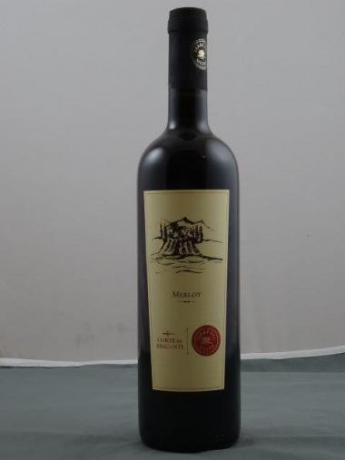 Merlot delle Terre Chieti I.G.P. 2022 